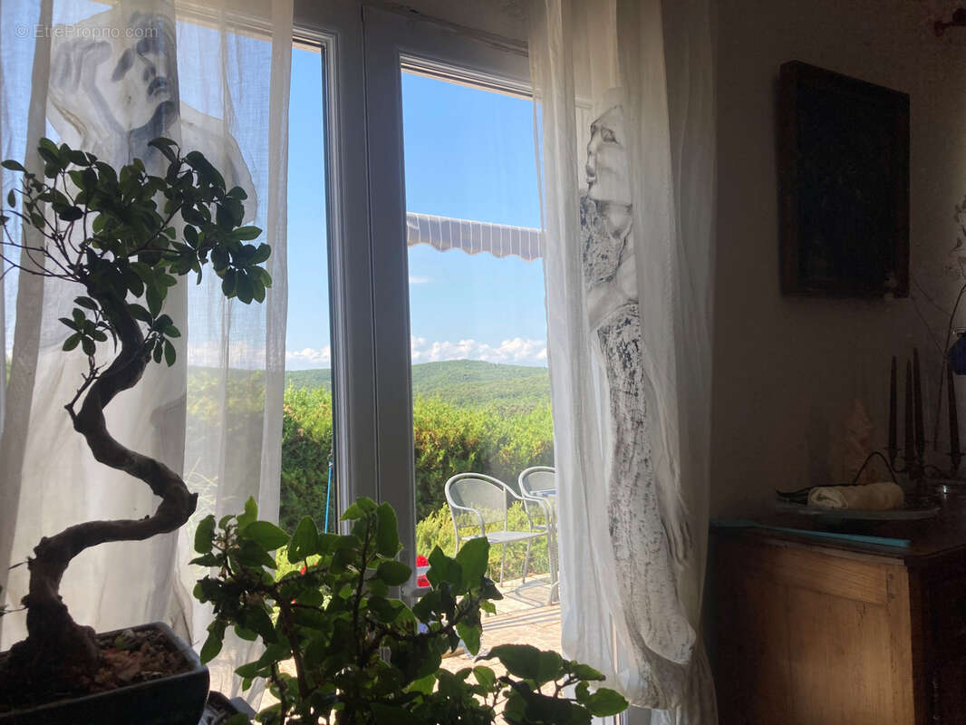 Entre Limoux et Carcassonne, 2 villas jumelées sur terrain avec piscine, double garage, terrasses, atelier. - photo 8