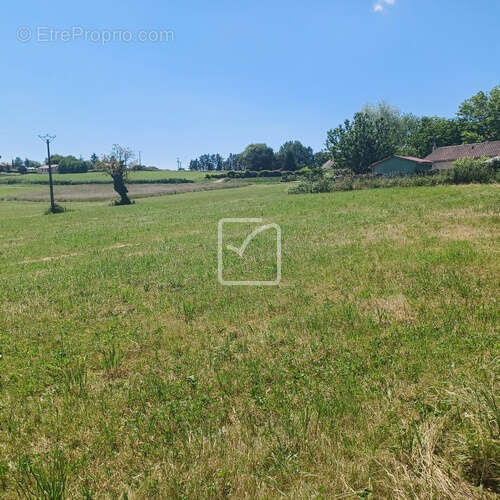 Terrain à SAINT-PROJET