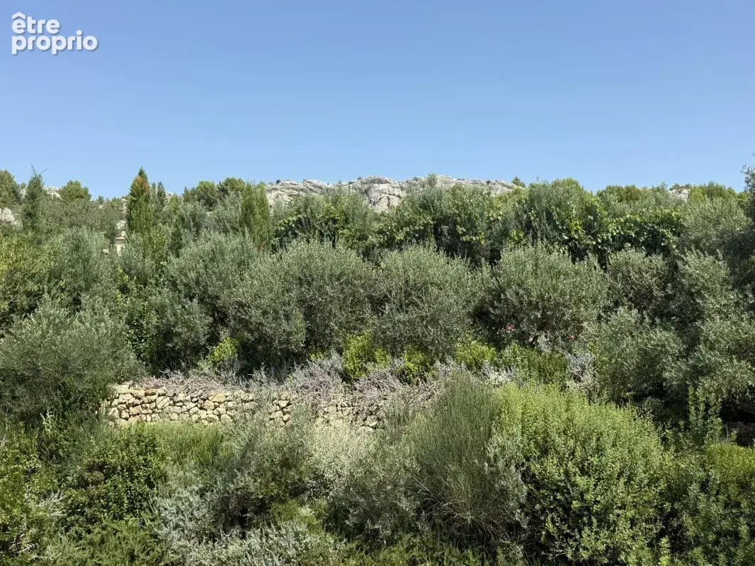 Paradou - au cœur des alpilles - photo 10