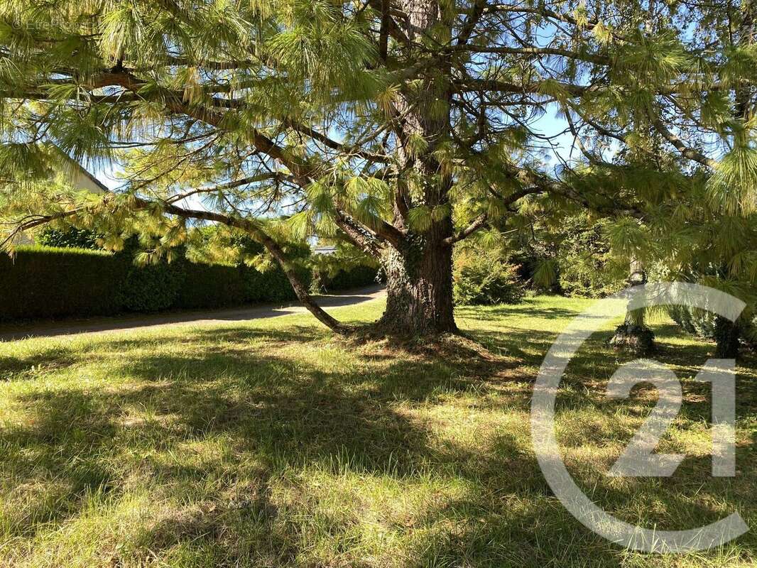 Maison à SAINT-PERE