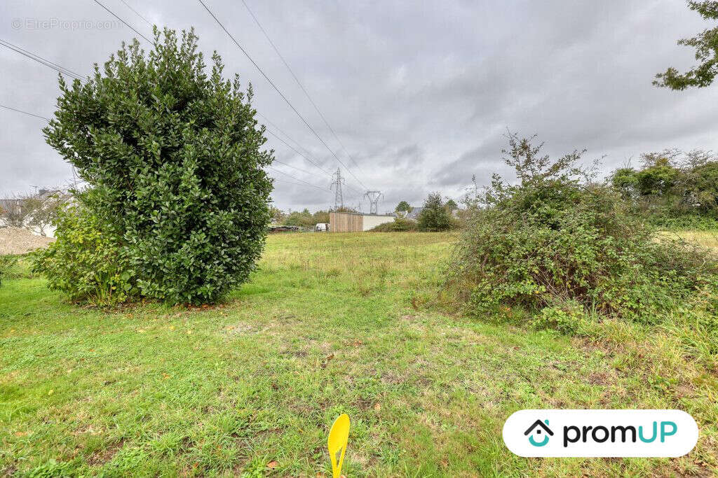 Terrain à MISSILLAC