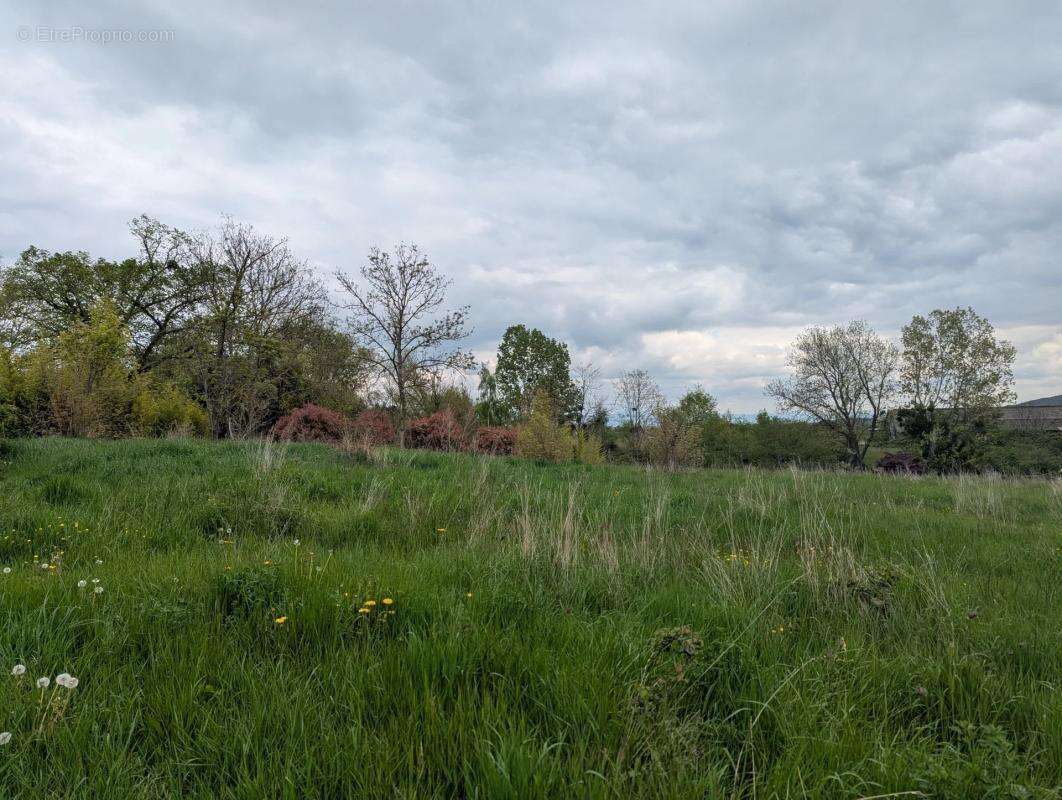 Terrain à MONTBRISON