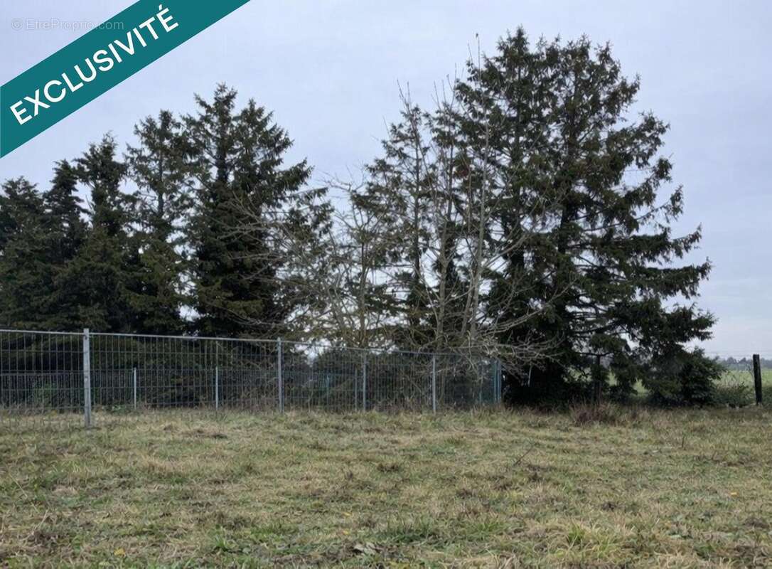 Photo 2 - Terrain à LOISON-SOUS-LENS