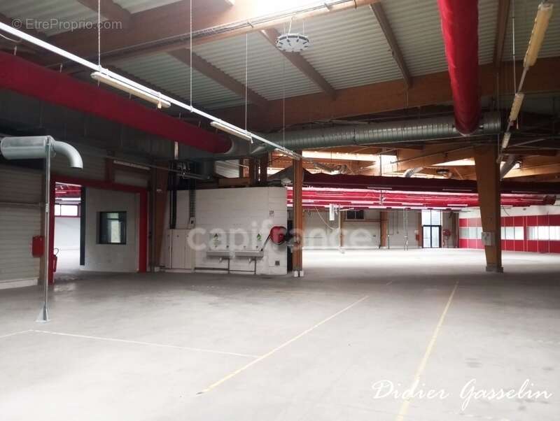 Commerce à BERD'HUIS