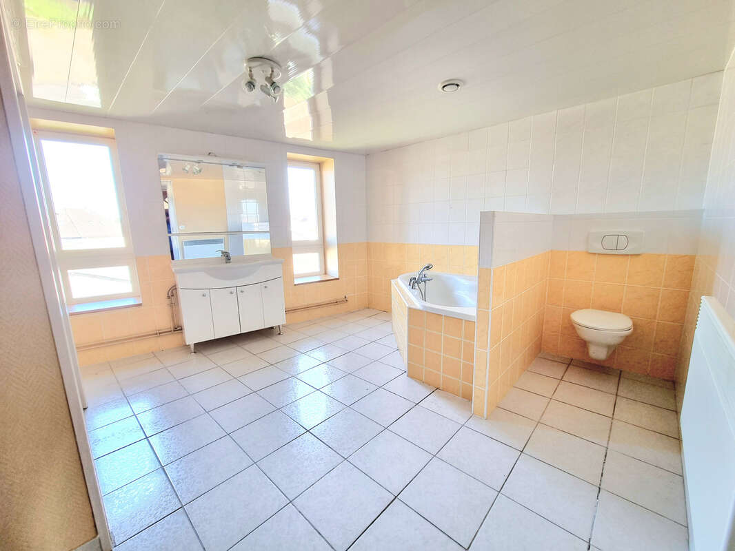 Immeuble à Fort Potentiel 650 m2 - photo 21