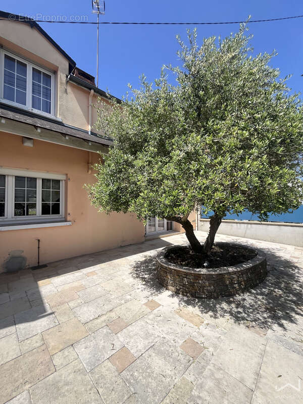 Maison à LE MANS