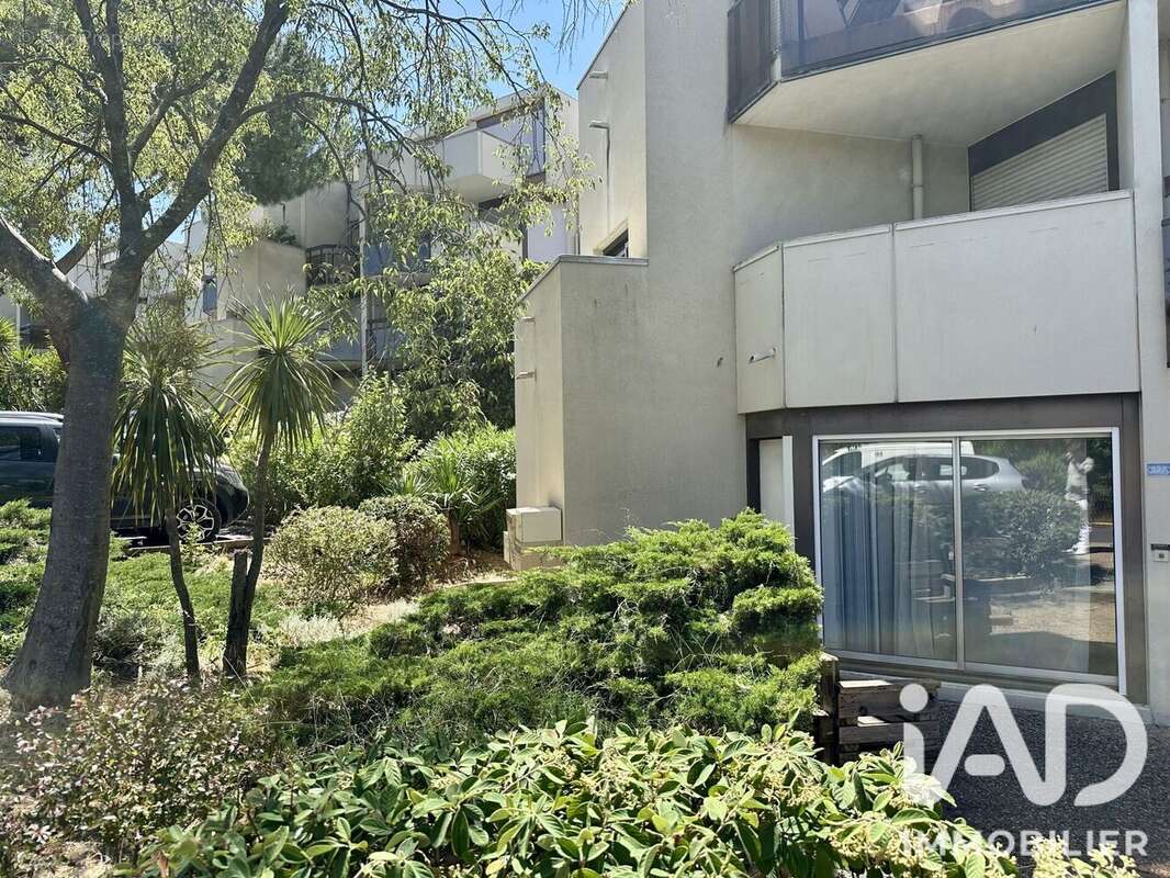 Photo 2 - Appartement à MONTPELLIER