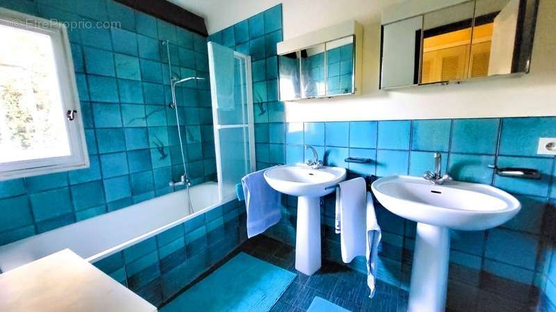 Maison à MONTFERRIER-SUR-LEZ