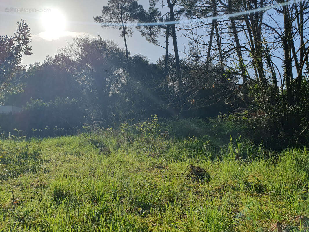 Terrain à JARD-SUR-MER