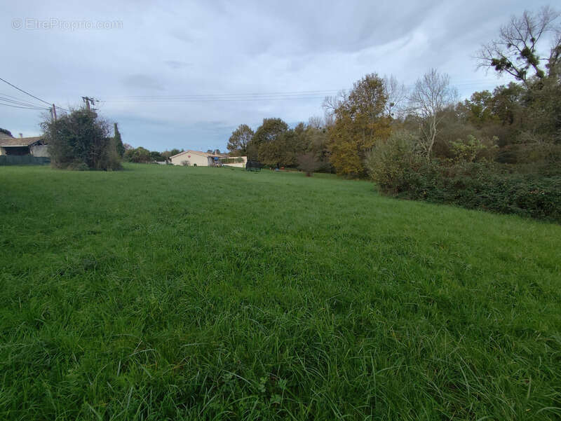 Terrain constructible 4714m2 Le Tâtre (16360) - photo 3