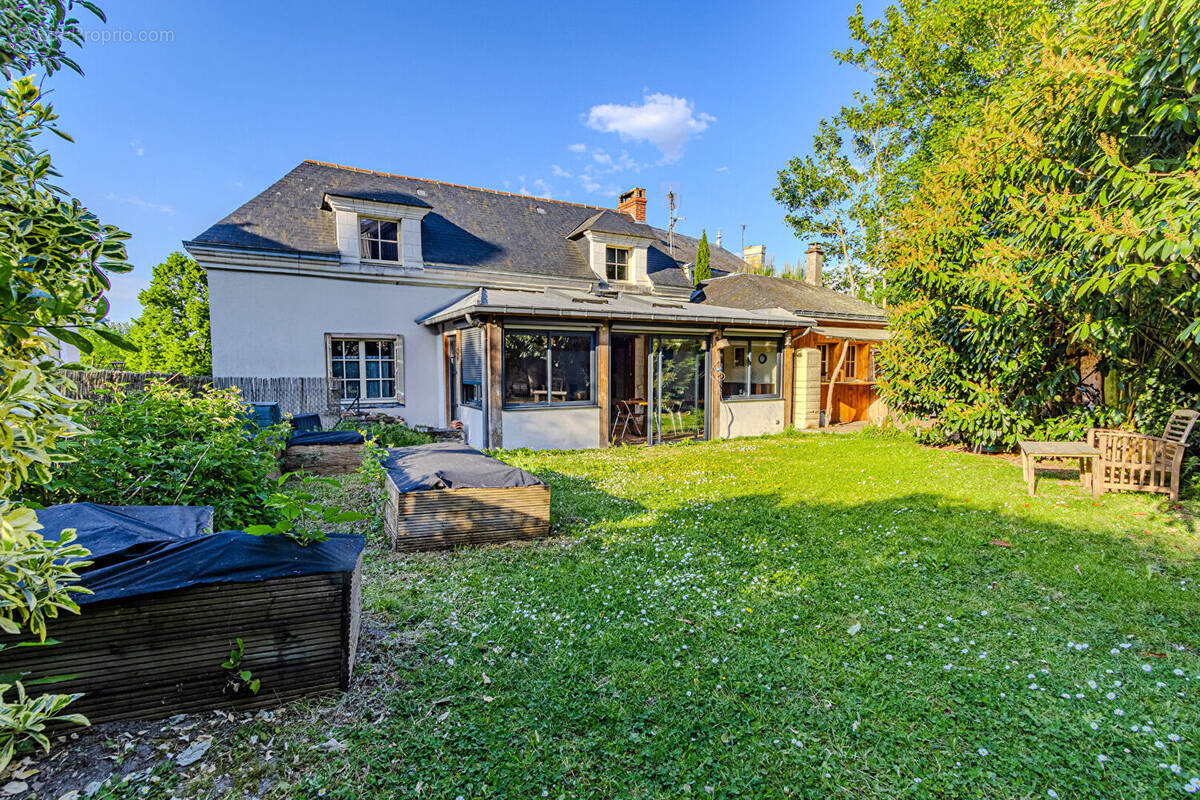 Maison à VILLEVEQUE