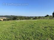 Terrain à LA BASTIDE-CLAIRENCE