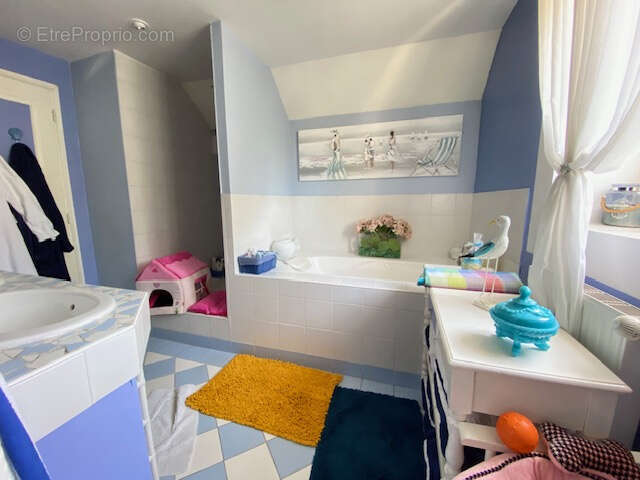 Maison à CHAINTREAUX