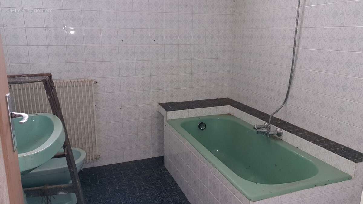 m sdb - Maison à TRIE-SUR-BAISE