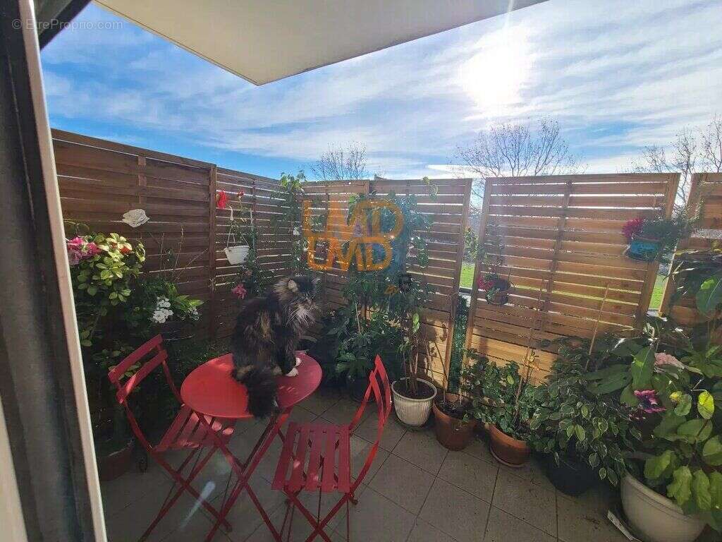 Appartement à TOULOUGES