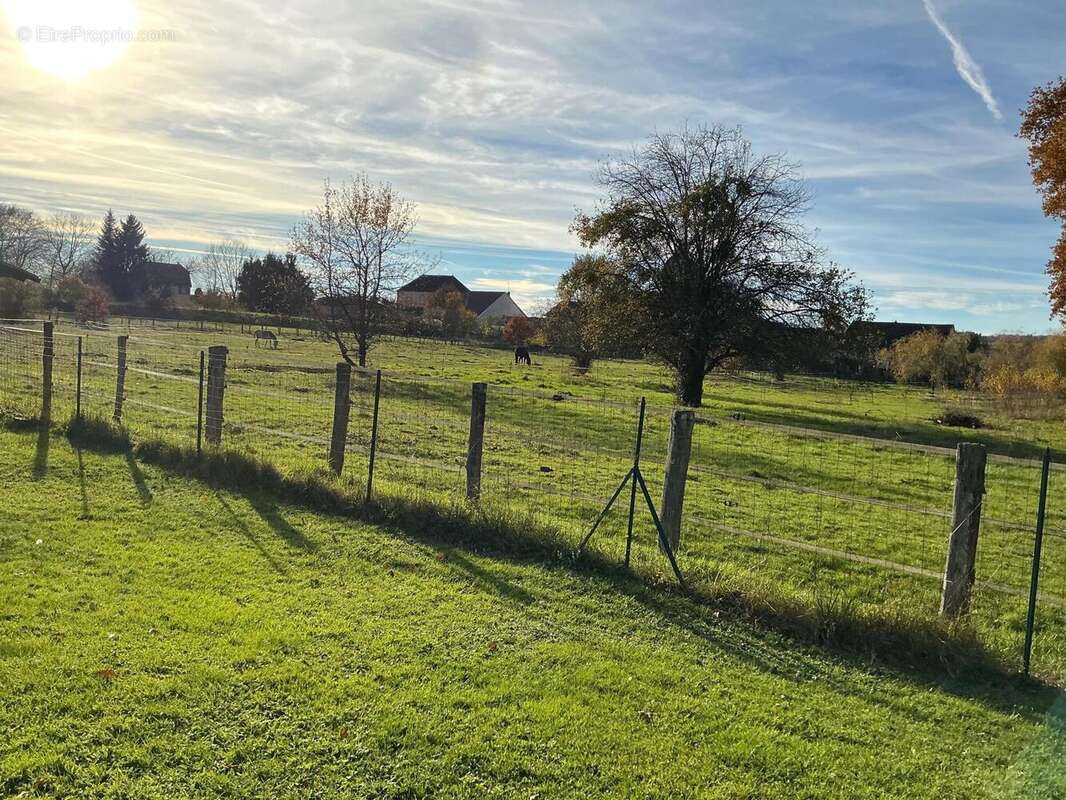 Photo 5 - Maison à SAINT-BARTHELEMY