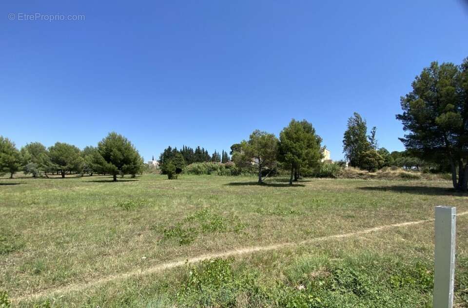Terrain 300 m² à Saint-Pargoire  - photo 3