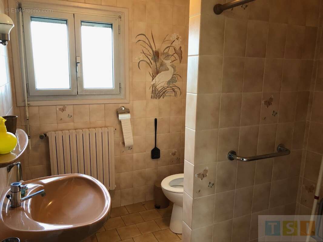 Maison à LANNEMEZAN