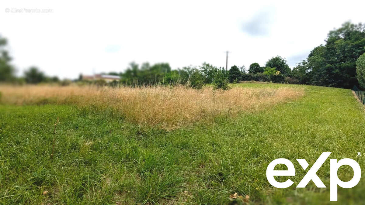 La photo montre un champ avec de l'herbe haute et des arbres en arrière-plan sous un ciel nuageux. - Terrain à LA SAUVETAT-DE-SAVERES