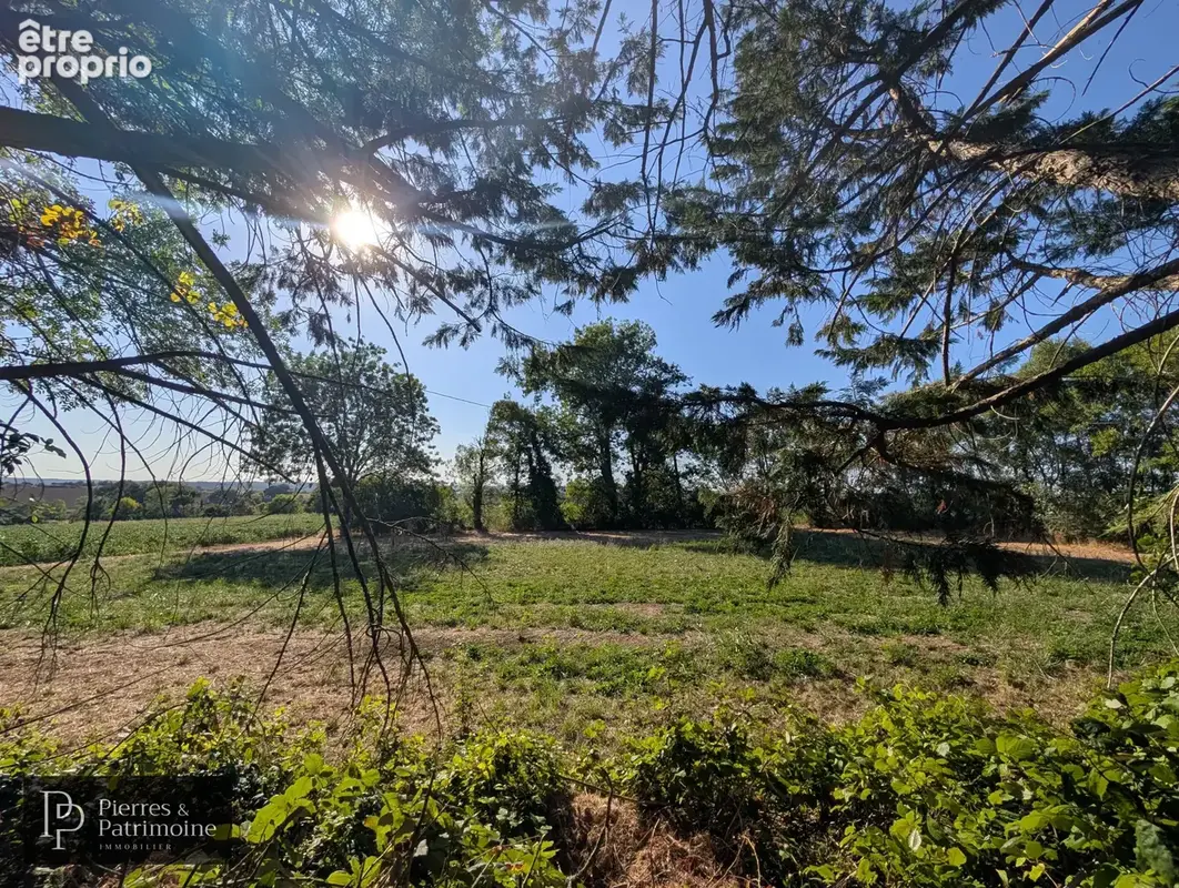 Maison en pierre sur 5 600 m2 de terrain entre Mézin et Nérac - photo 8
