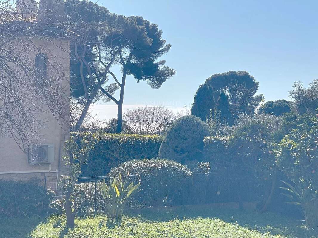 Maison à CANNES