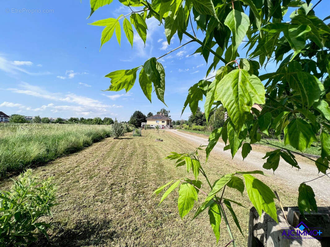 Maison à STRASBOURG