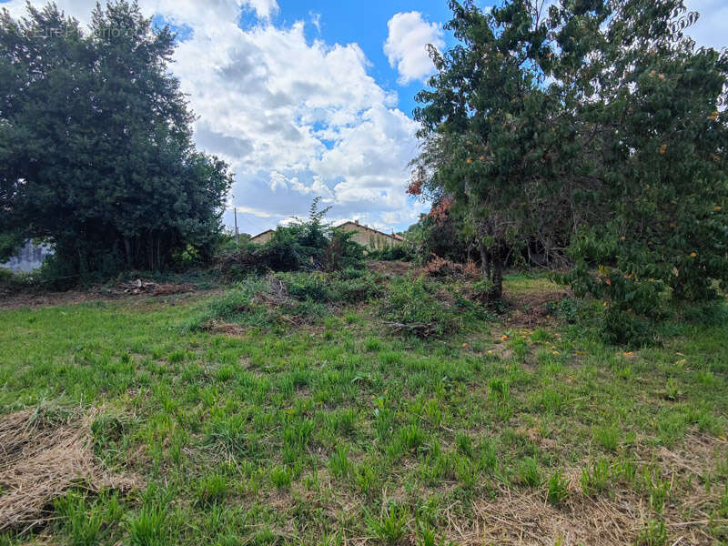 Terrain à SAUZE-VAUSSAIS