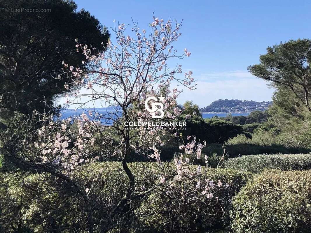 Terrain à LA CROIX-VALMER