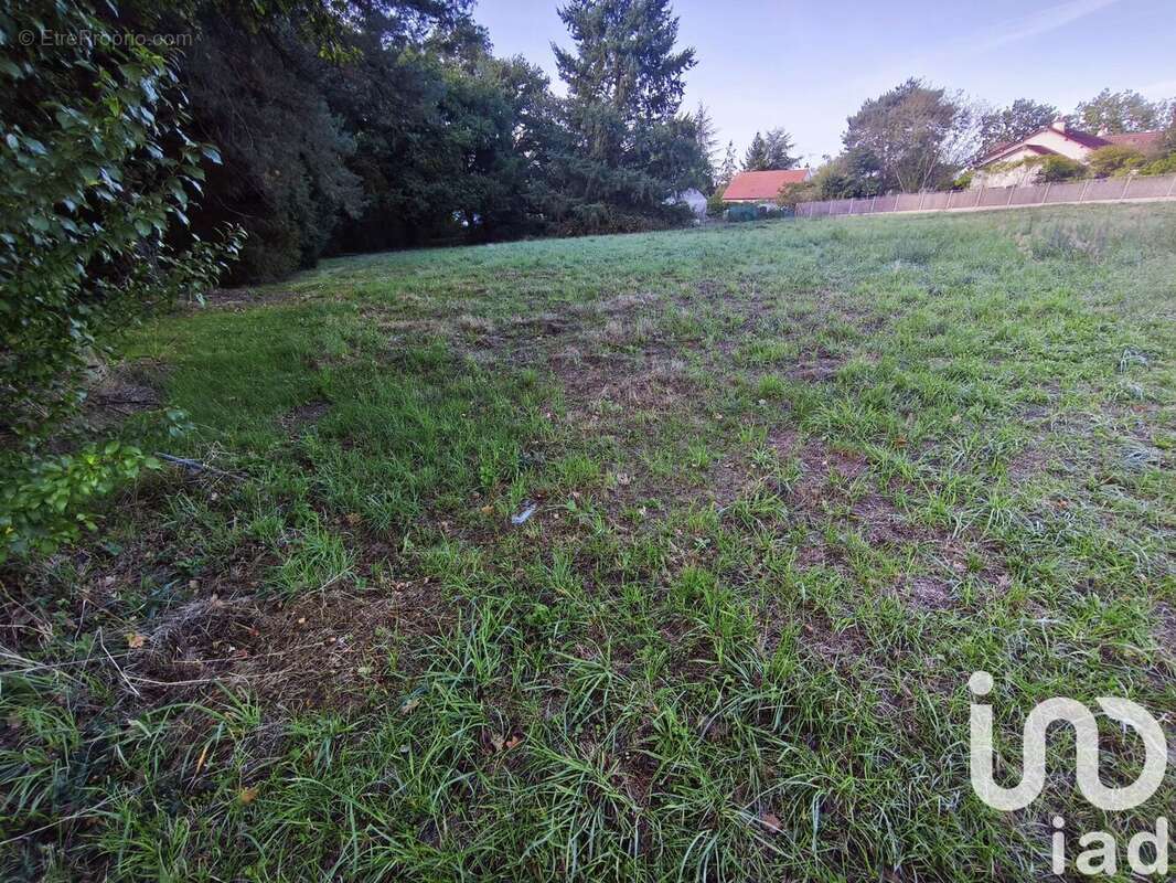 Photo 3 - Terrain à VILLEFRANCHE-SUR-CHER