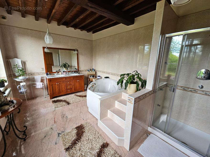 Maison à BERCENAY-EN-OTHE