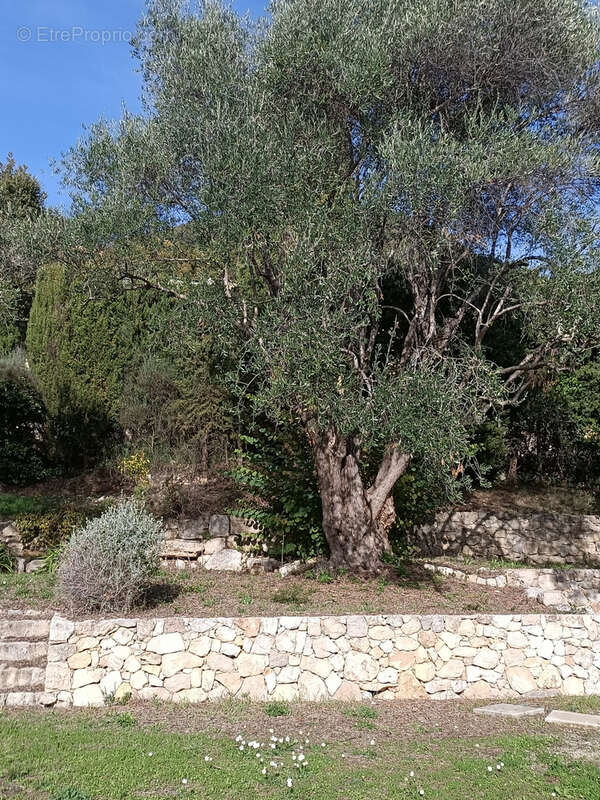 Appartement à GRASSE