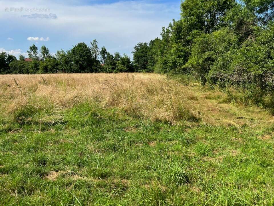 Terrain à CONFRANCON
