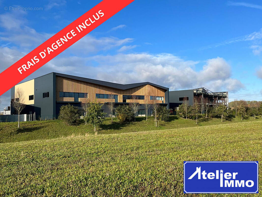 Commerce à MOISSY-CRAMAYEL