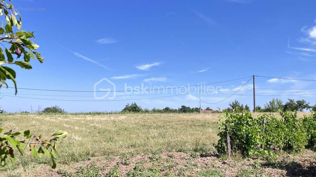 Terrain constructible avec vue panoramique – 3 382 m² – Nailhac (24390) - photo 2