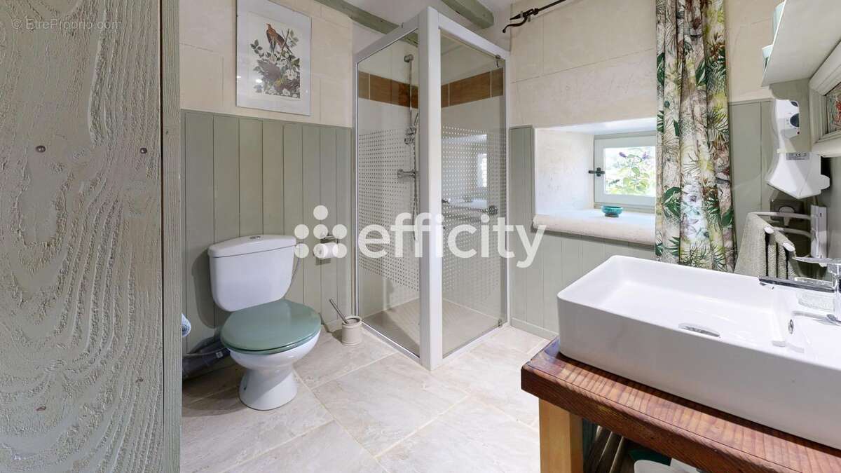 Maison 378 m² à Montet-Et-Bouxal  - photo 16