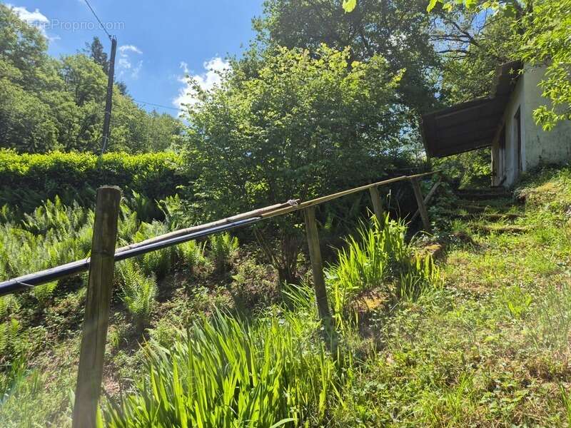 Terrain à PRESSIGNAC