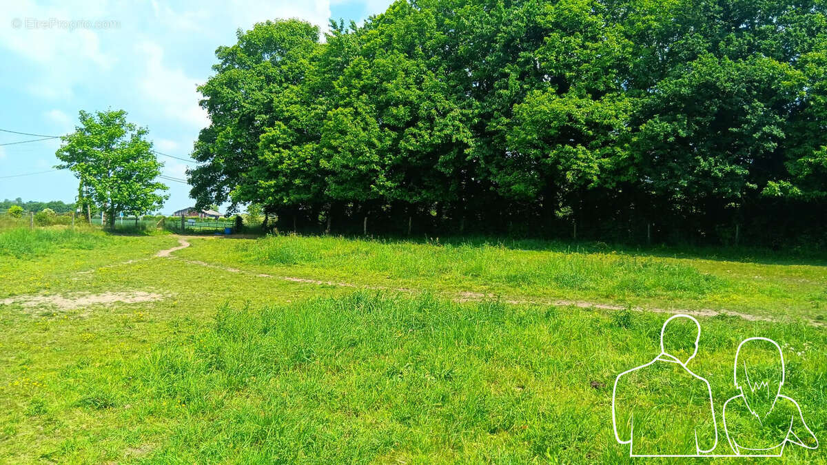 Terrain 1000 m² à Saint-Aubin-Sur-Quillebeuf  - photo 2