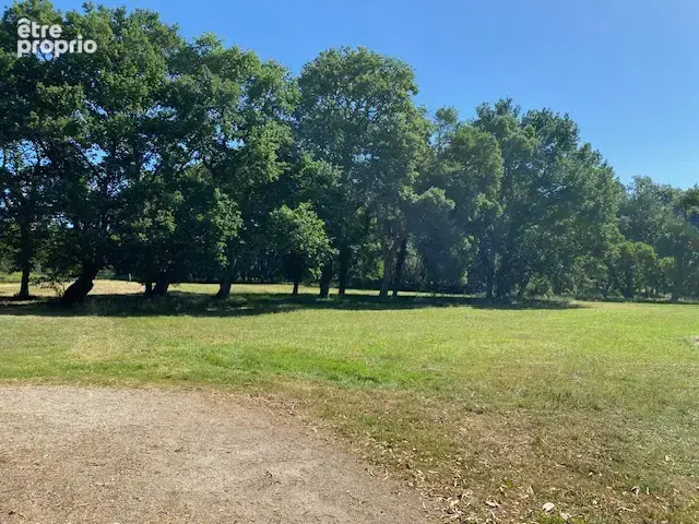 Magnifique propriété de 278 m2 sur 14 hectares - photo 8