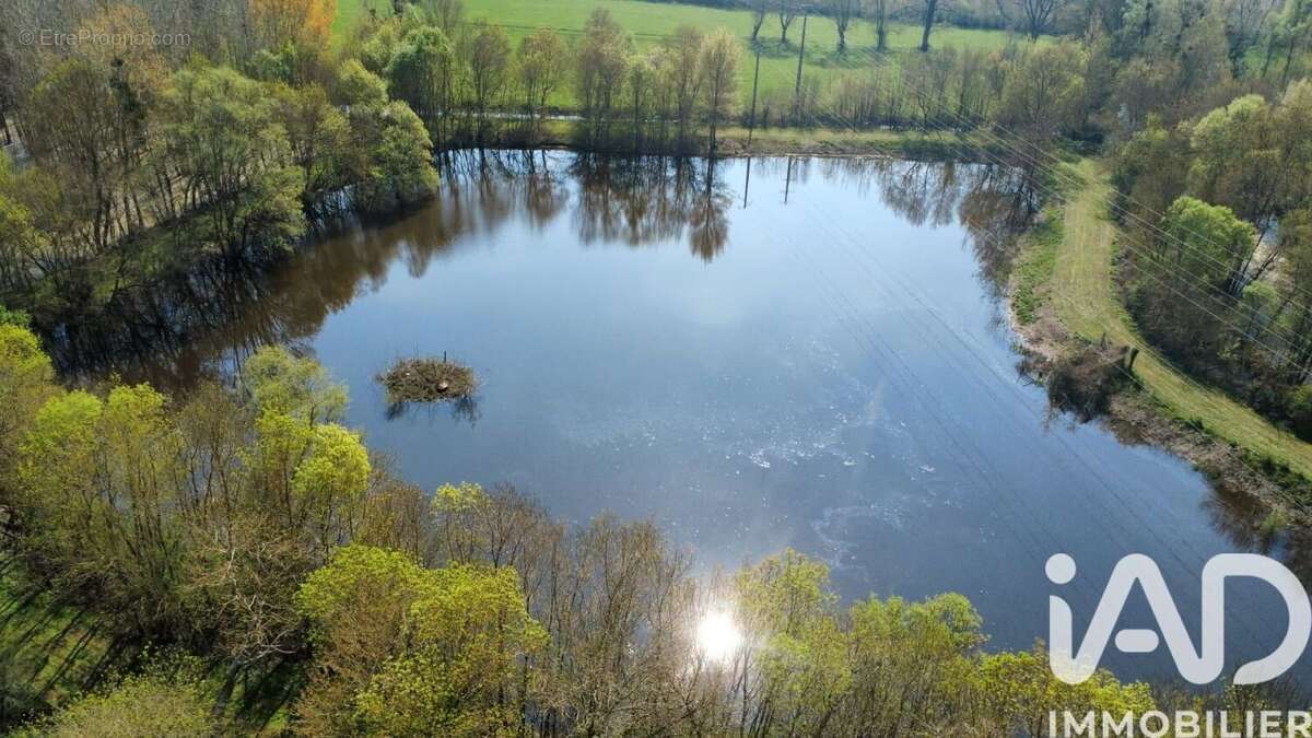 Photo 7 - Terrain à CHINON