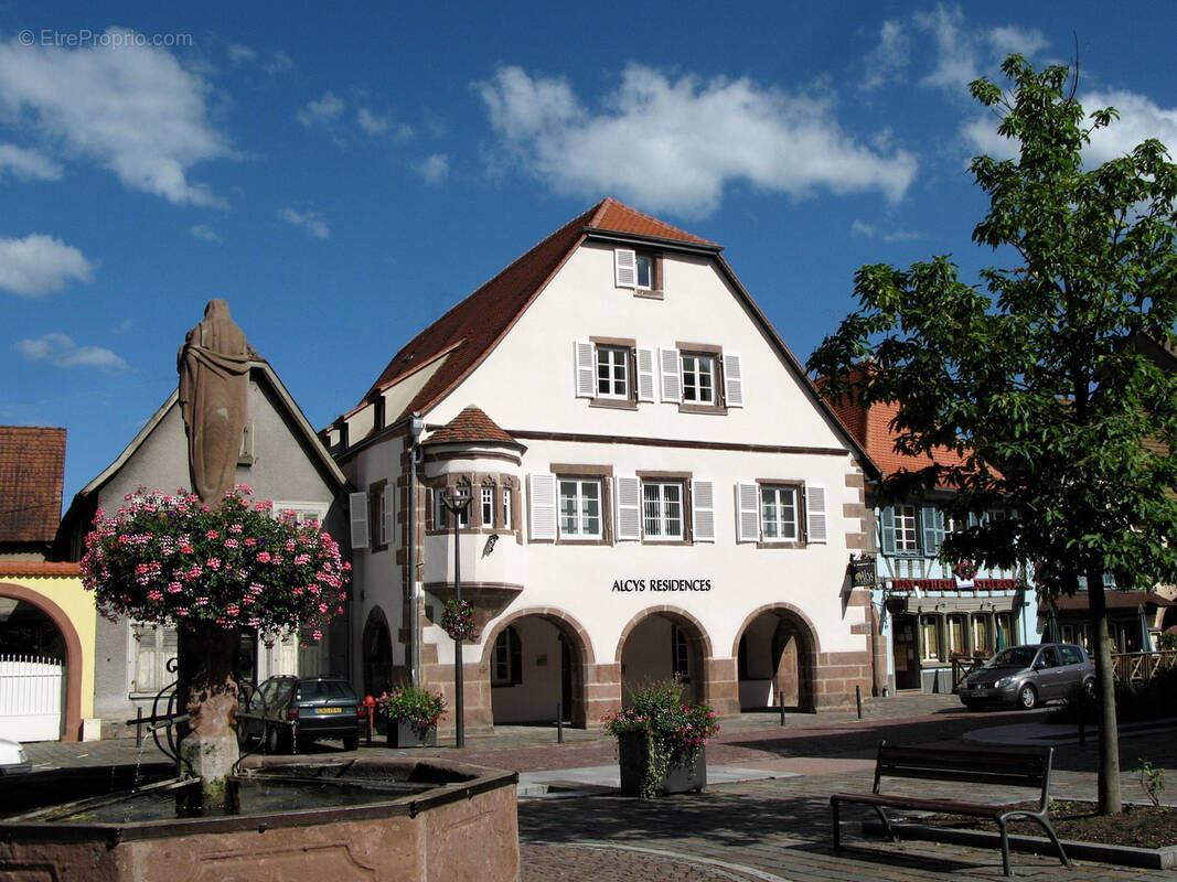 Commerce à CHATENOIS