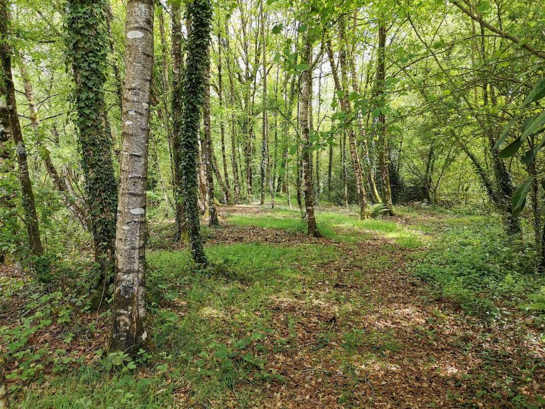 Terrain à GUEHENNO