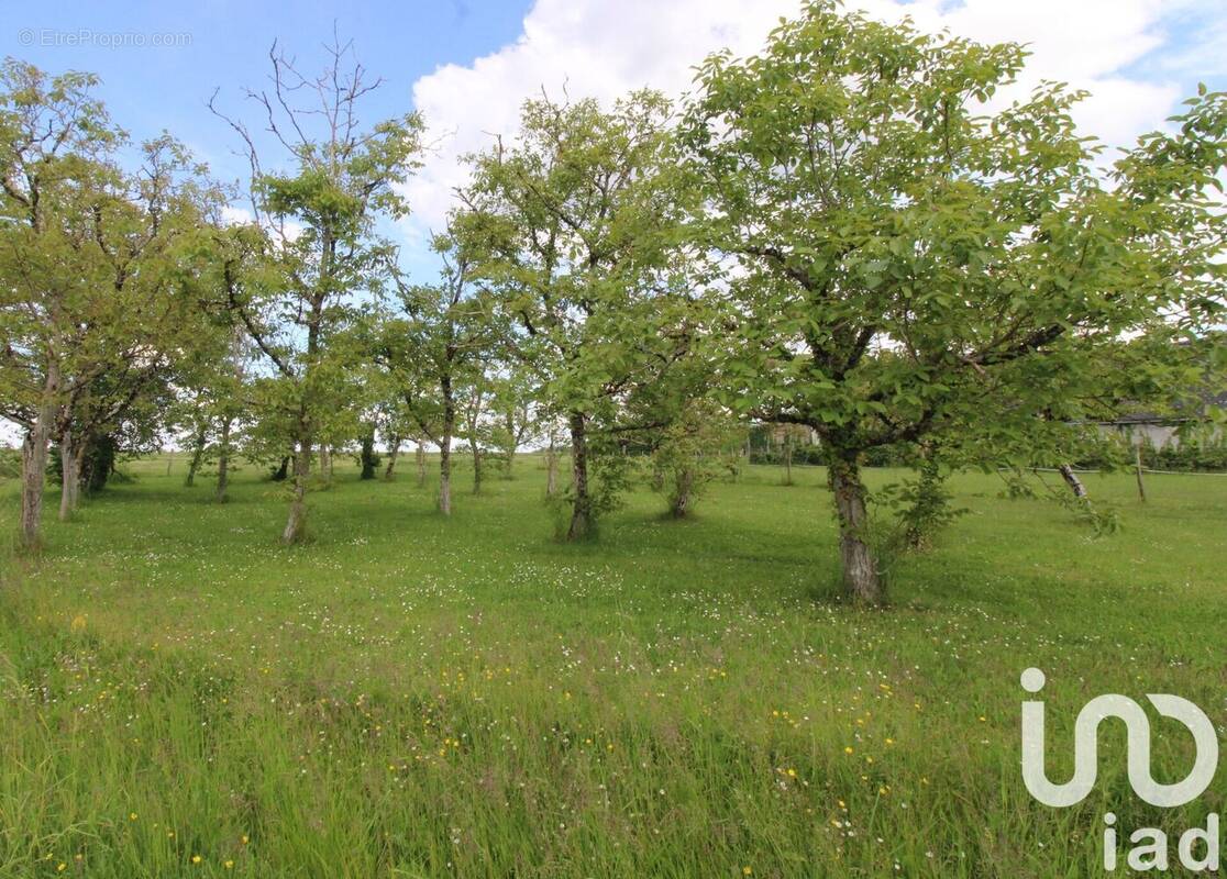 Photo 1 - Terrain à MONTEAUX