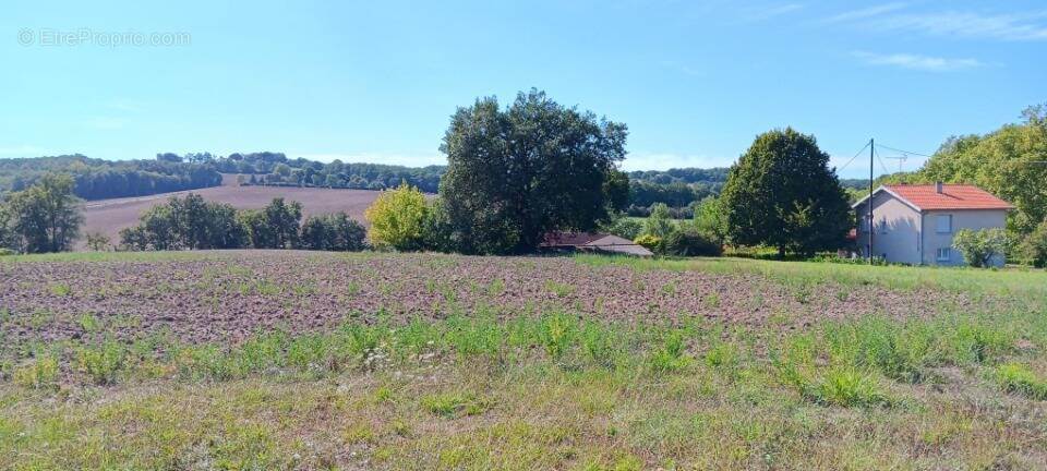Terrain à CADALEN