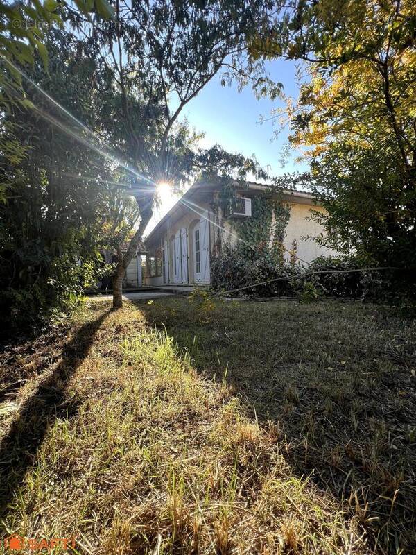 Photo 1 - Maison à COLOMIERS