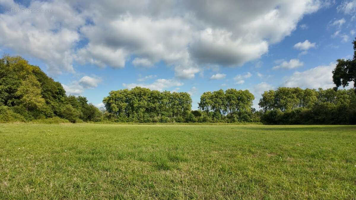 Maison à PEYREHORADE
