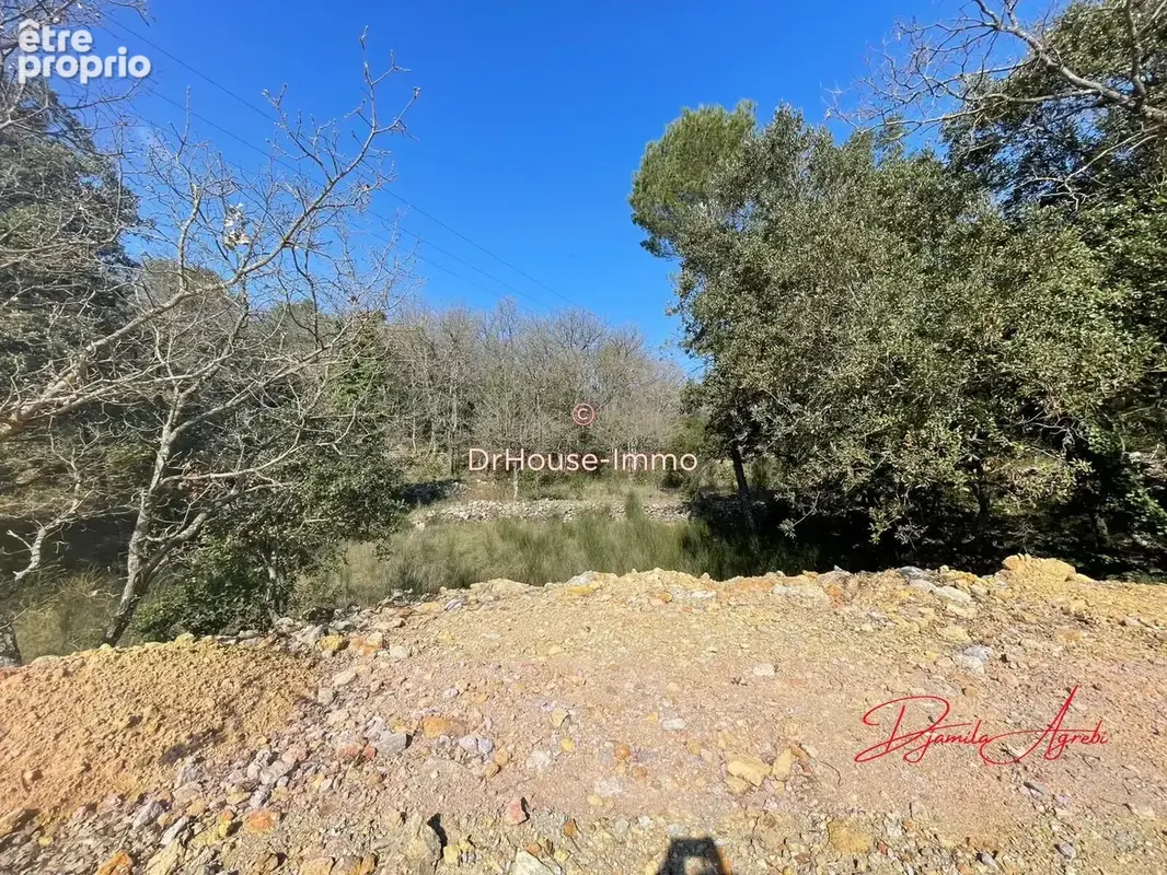 Terrain 7 807 m² à vendre à Saint-Maximin-La-Sainte-Baume (83470) - photo 18