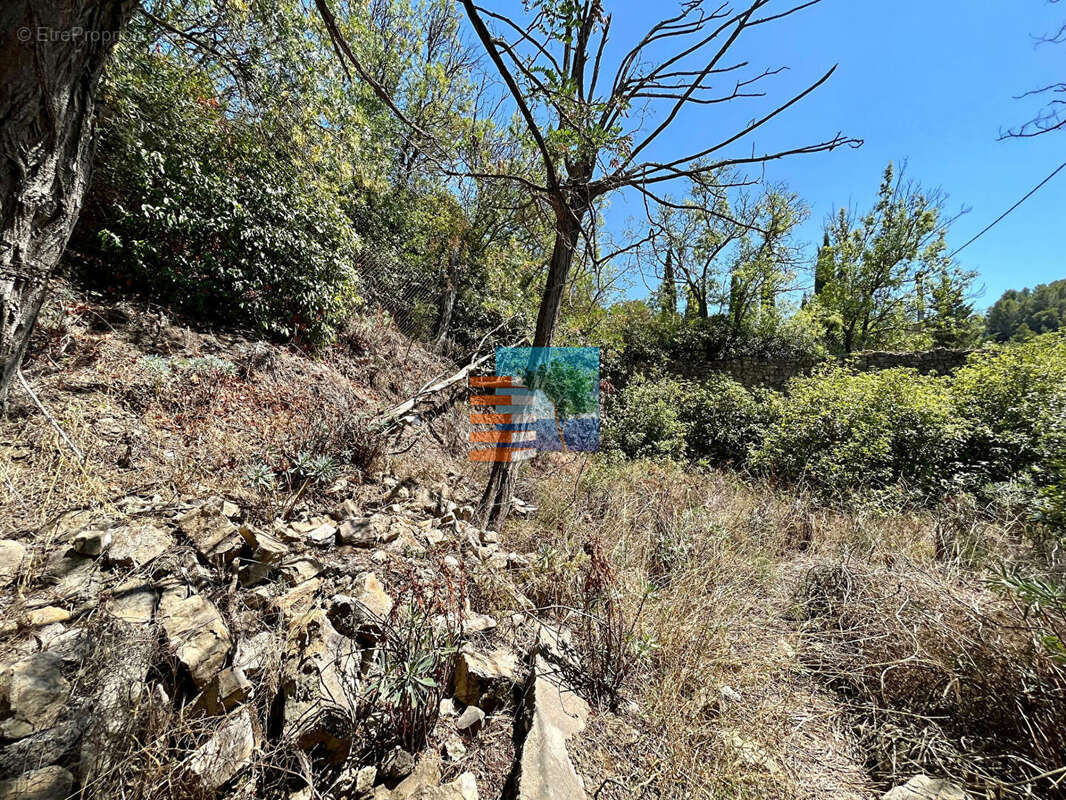 Bergerie Villeseque Des Corbieres - photo 7