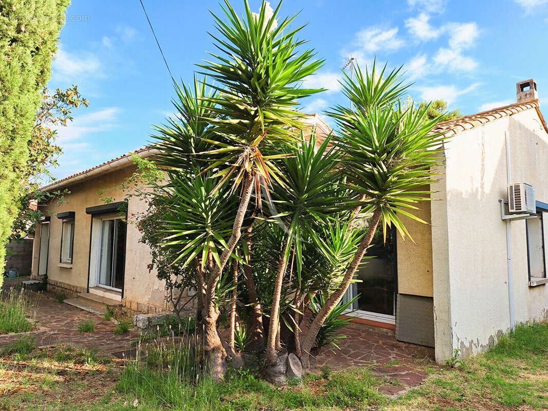 Maison Sète 5 pièces 150 m² - photo 6