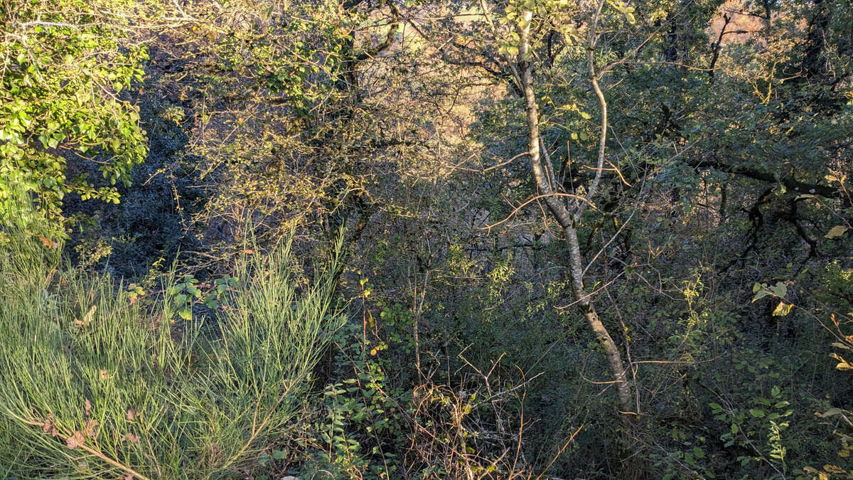 Terrain à SERILHAC