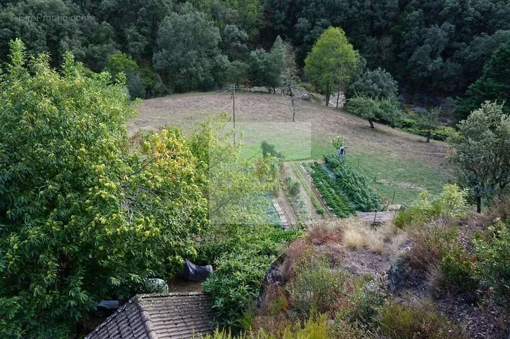 Maison à SAINT-GERMAIN-DE-CALBERTE